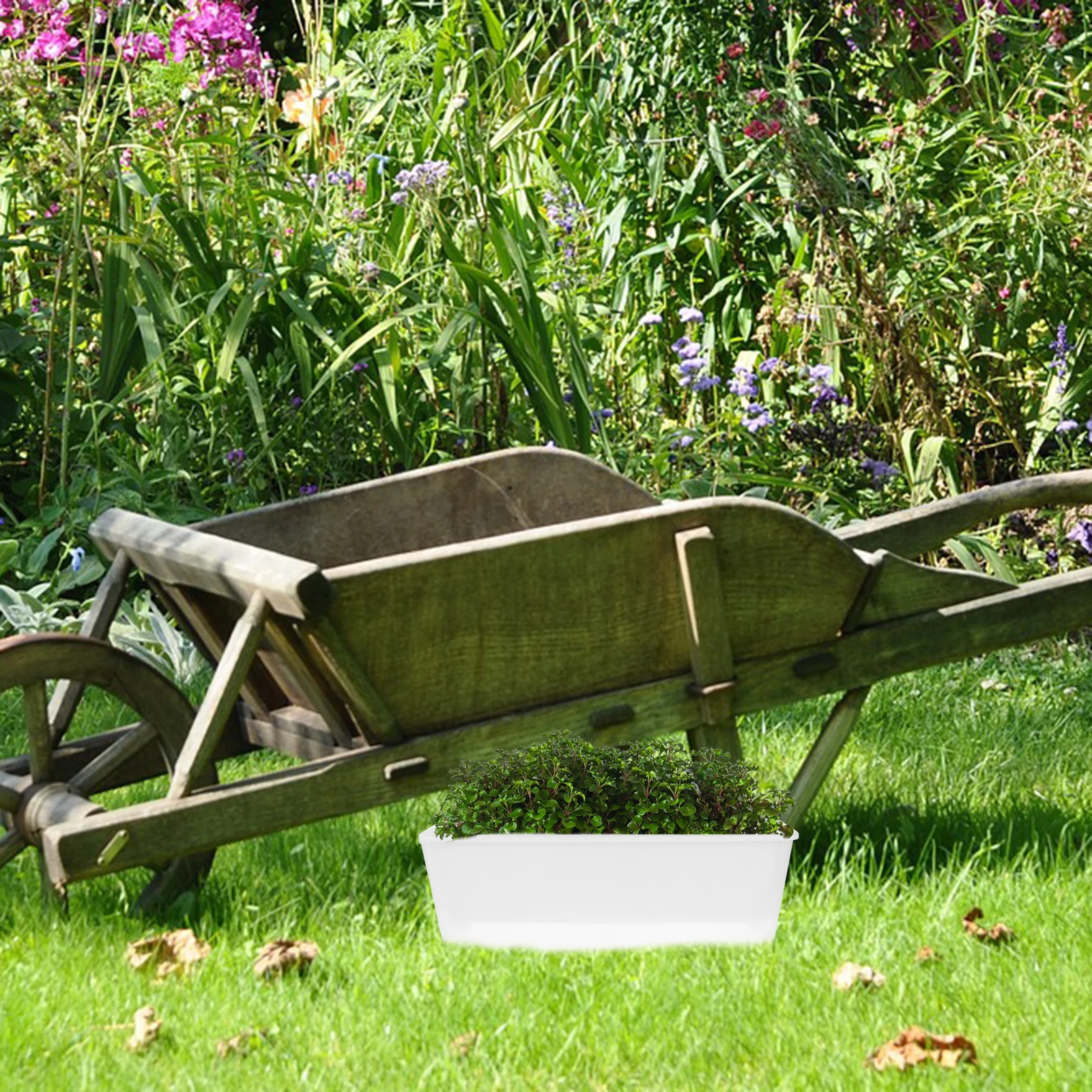 Rectangle Planter Box Narrow Self Watering Windowsill Planter Long Plastic Flower Pot for Garden Balcony Patio Indoor Outdoor
Rectangle Planter Box Narrow Self Watering Windowsill Planter Long Plastic Flower Pot for Garden Balcony Patio Indoor Outdoor