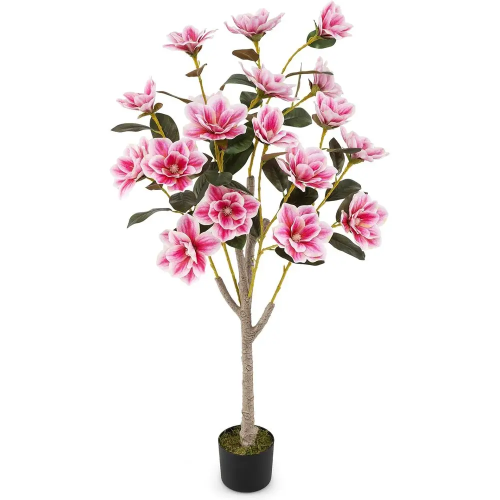 51 Inch Artificial Magnolia Tree with PEVA Leaves, Multi-Branch Trunks, and Realistic Moss - Perfect Potted Greenery for Indoors
51 Inch Artificial Magnolia Tree with PEVA Leaves, Multi-Branch Trunks, and Realistic Moss - Perfect Potted Greenery for Indoors