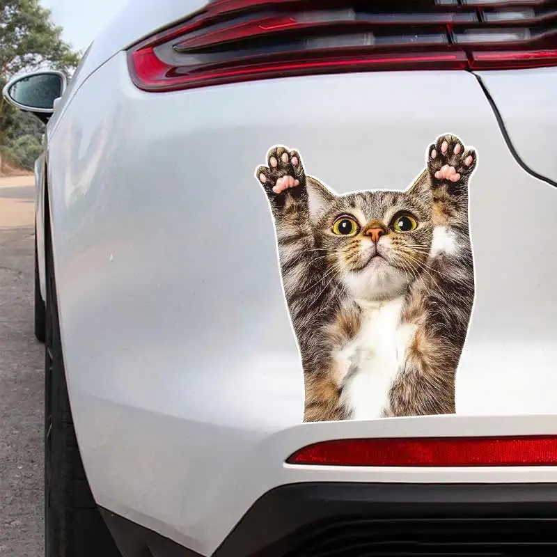 Funny Cat Animal Car Sticker Cartoon Waterproof Styling Automobiles Motorcycle Exterior Accessories Vinyl Decals Y211
Funny Cat Animal Car Sticker Cartoon Waterproof Styling Automobiles Motorcycle Exterior Accessories Vinyl Decals Y211