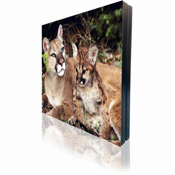 Led Waterproof Module Full Color Digital Stage Panel P5 Video Wall Advertising Outdoor Screen Display HD Led Display Screen
Led Waterproof Module Full Color Digital Stage Panel P5 Video Wall Advertising Outdoor Screen Display HD Led Display Screen