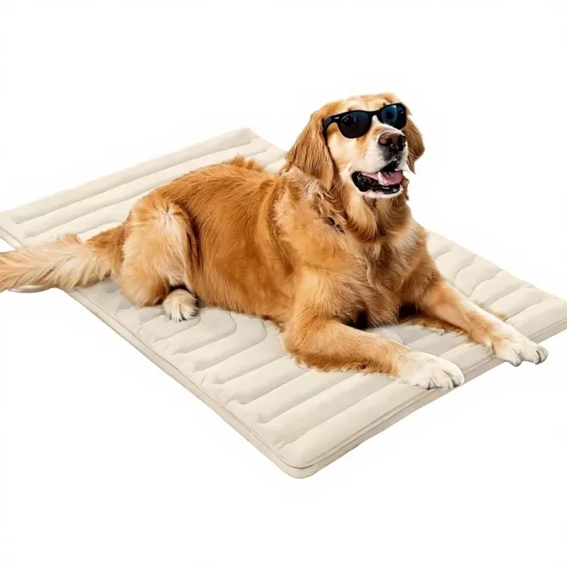 Cross-Border Hot-Selling Solid Pattern Dog Summer Cooling Heat-Relief Breathable Rectangle Pet Ice Mat
Cross-Border Hot-Selling Solid Pattern Dog Summer Cooling Heat-Relief Breathable Rectangle Pet Ice Mat