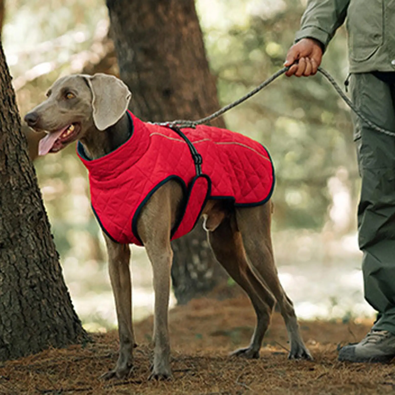 Зимняя куртка для собак, ветрозащитный теплый жилет, одежда для холодной погоды, куртки для собак для прогулок, повседневные пешие прогулки, катание на лыжах, открытый парк пикника
Зимняя куртка для собак, ветрозащитный теплый жилет, одежда для холодной погоды, куртки для собак для прогулок, повседневные пешие прогулки, катание на лыжах, открытый парк пикника