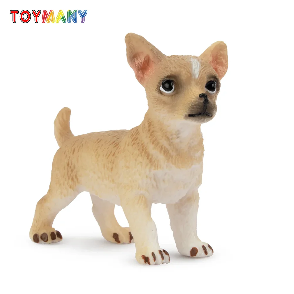 Toymany Simulation Mini Fawn Chihuahua Puppy Pet Animal Model Toy Mini Figures Dolls Action Figurines Toys Children Gift
Toymany Simulation Mini Fawn Chihuahua Puppy Pet Animal Model Toy Mini Figures Dolls Action Figurines Toys Children Gift
