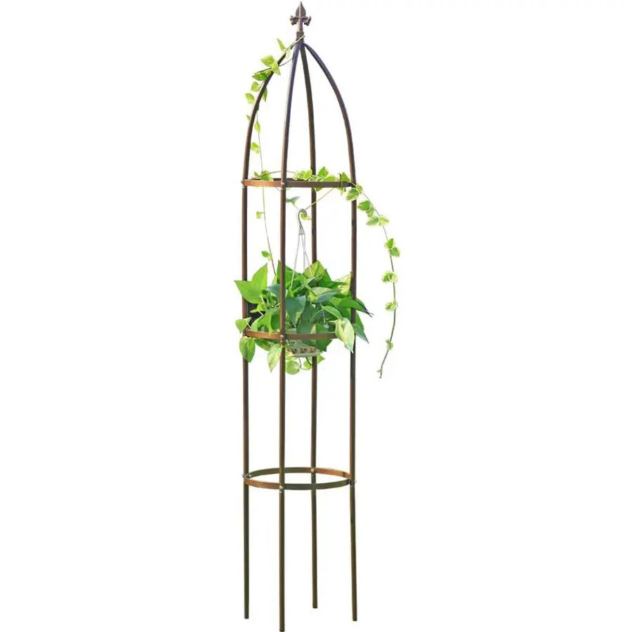 Metal Obelisk Garden Trellis 6.3 Feet Tall Sturdy Plant Support for Climbing Vines and Flowers Stands,1pc Upgrade Bronze, Large
Metal Obelisk Garden Trellis 6.3 Feet Tall Sturdy Plant Support for Climbing Vines and Flowers Stands,1pc Upgrade Bronze, Large