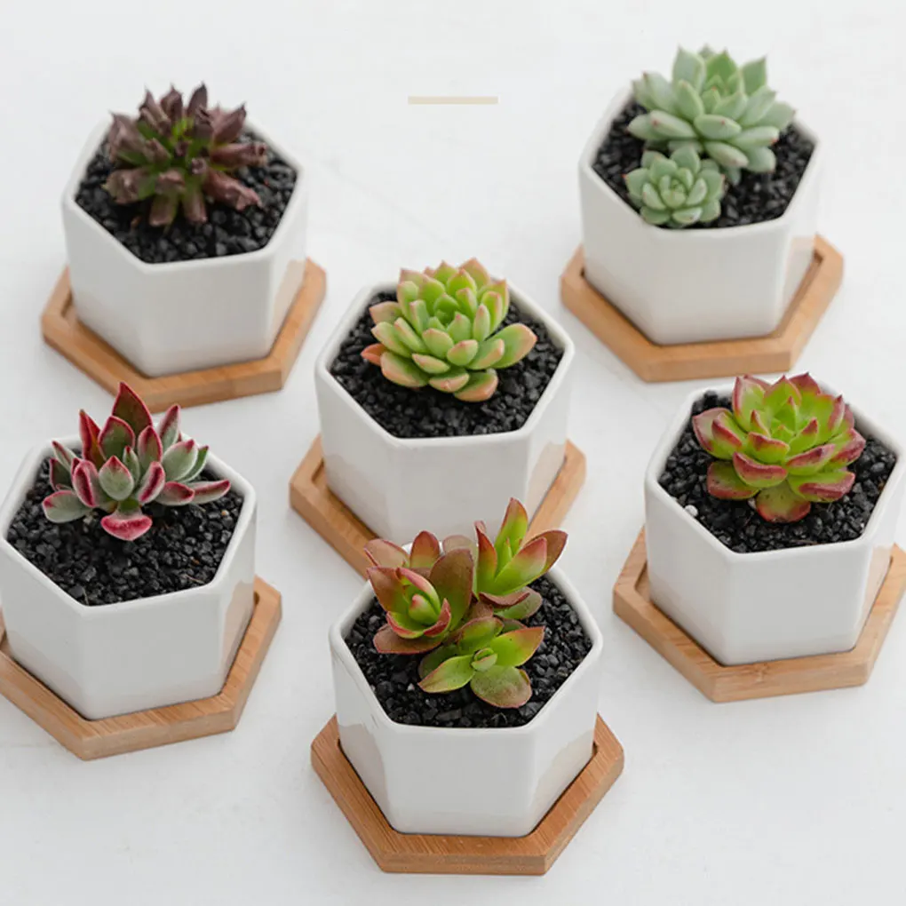 4pack lot Ceramic Plant Pot For Succulents Versatile And Eco-friendly Ceramic Flower Pot Flower Pots
4pack lot Ceramic Plant Pot For Succulents Versatile And Eco-friendly Ceramic Flower Pot Flower Pots