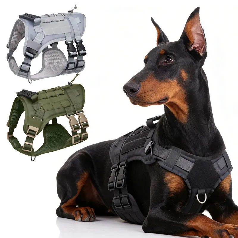 Регулируемая рабочая жилетка MOLLE для служебных собак крупных пород, не дающая тягучести, сверхпрочная шлейка для средних собак для тренировок и походов
Регулируемая рабочая жилетка MOLLE для служебных собак крупных пород, не дающая тягучести, сверхпрочная шлейка для средних собак для тренировок и походов