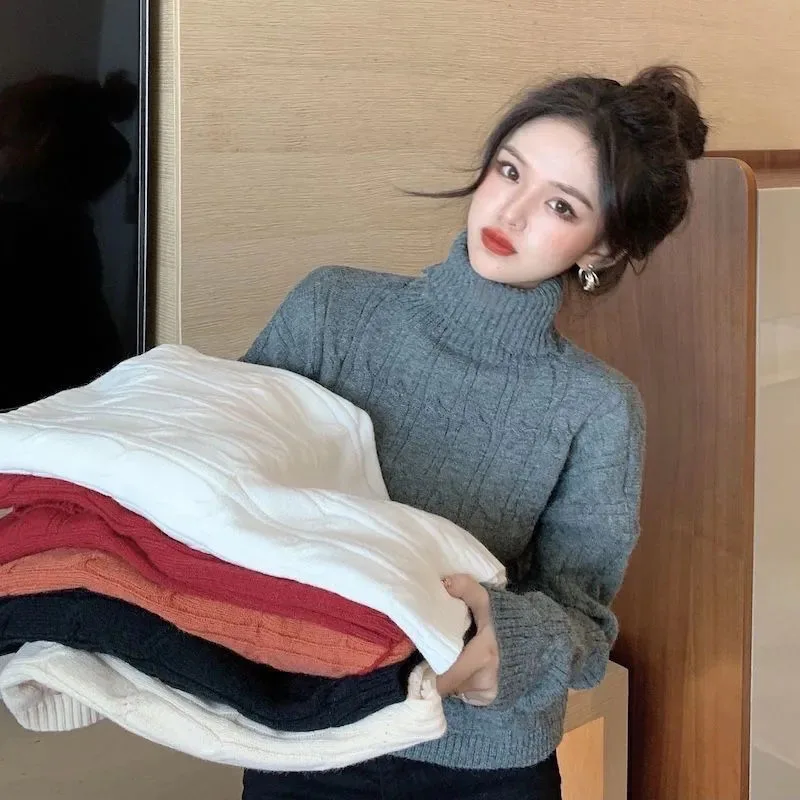 Gray Loose Turtleneck Sweater Women Fashion Harajuku Autumn Winter Jumper Crop Tops Solid All Match Long Sleeve Casual Sweater
Gray Loose Turtleneck Sweater Women Fashion Harajuku Autumn Winter Jumper Crop Tops Solid All Match Long Sleeve Casual Sweater