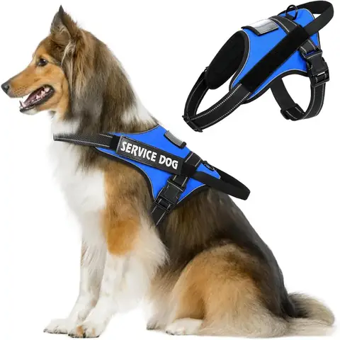 Arnés para perros grandes + bote para tarjetas de identificación + 7 parches, chaleco ajustable sin extracción para perros, arnés para perros transpirable reflectante de 3M suave