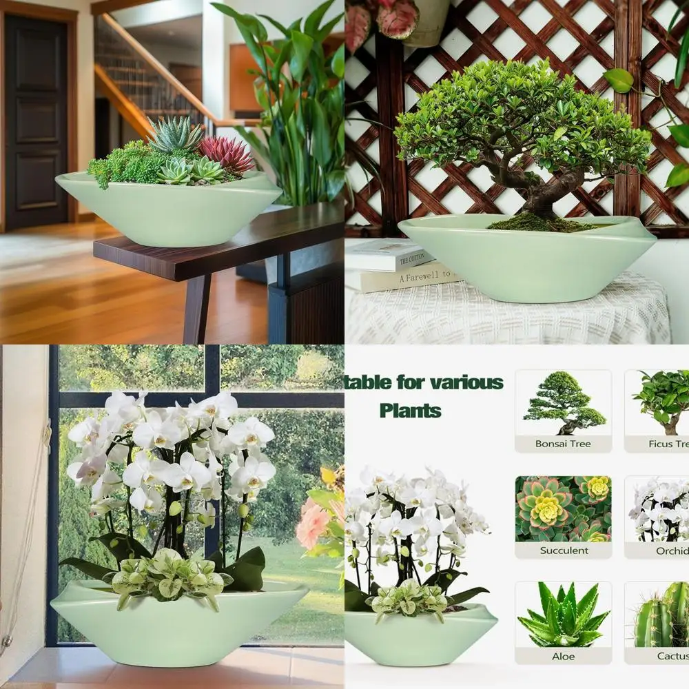 18 Inch Modern Large Bonsai Planter with Drainage for Indoor & Outdoor Plants, Decorative Pot for Succulents and Flowers
18 Inch Modern Large Bonsai Planter with Drainage for Indoor & Outdoor Plants, Decorative Pot for Succulents and Flowers