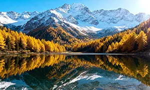 HPXGRC H743 FC и стек ESC 4-в-1 — 60A/70A/80A, ICM42688P в комплекте, 30,5x30,5 мм для FPV-дронов
HPXGRC H743 FC и стек ESC 4-в-1 — 60A/70A/80A, ICM42688P в комплекте, 30,5x30,5 мм для FPV-дронов