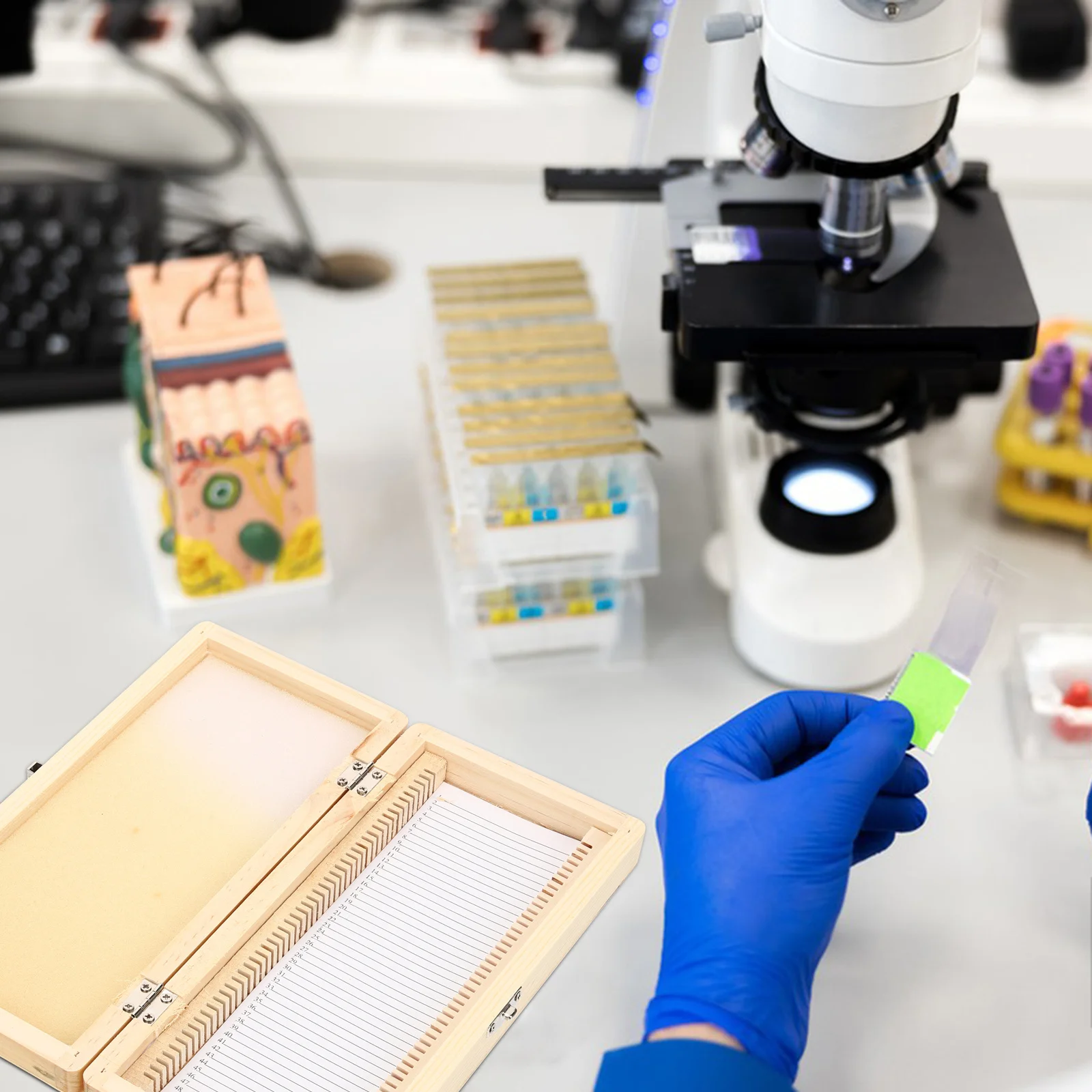 Wooden Slide Storage Box Microscope Slide Holder Neat Placement Prevent Breakage Numbered Slots Practical Design
Wooden Slide Storage Box Microscope Slide Holder Neat Placement Prevent Breakage Numbered Slots Practical Design