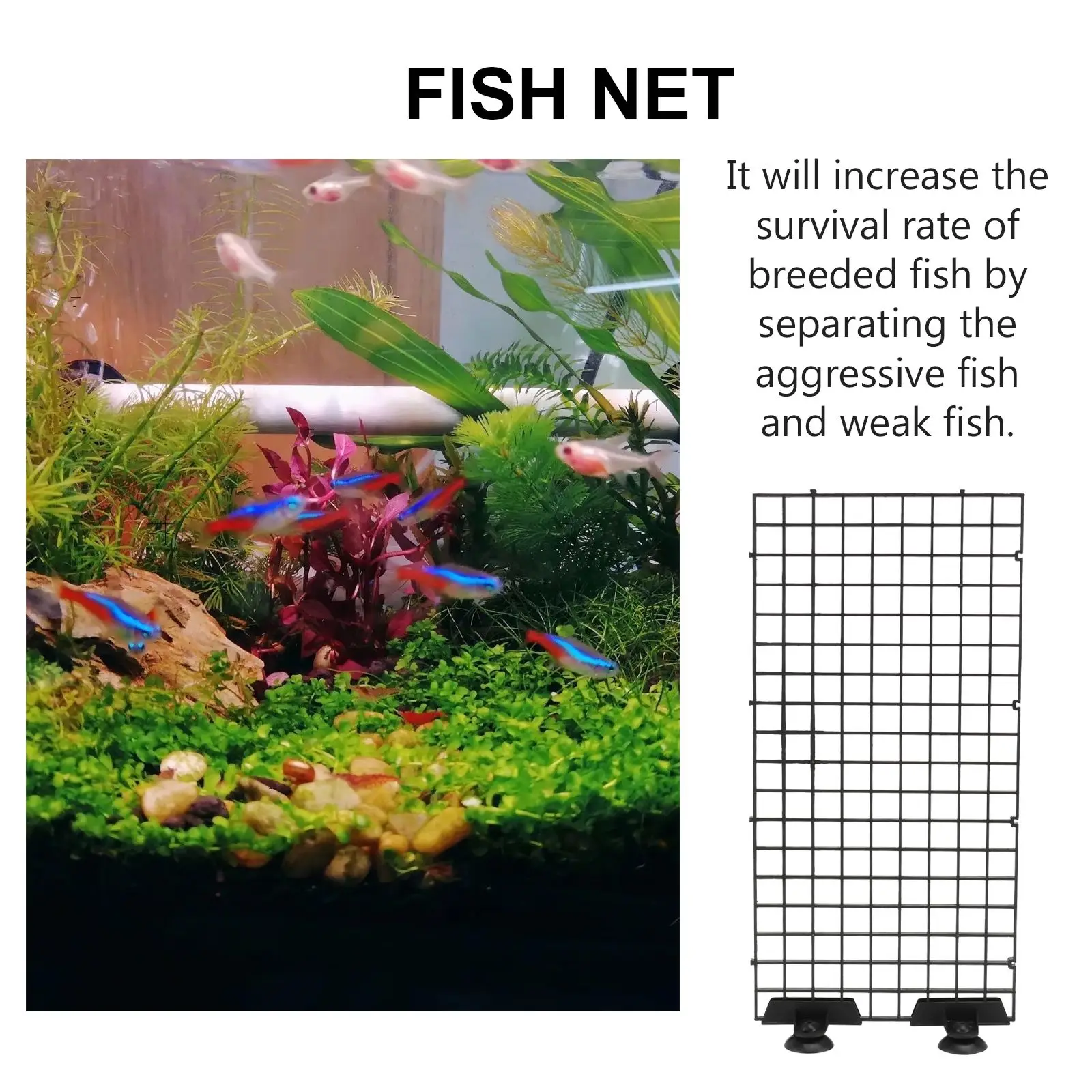 Fish Net Segregation Board for Aquarium Hatchery Equipment Plastic Frame Net Breeder Fish Tank Partition Bracket
Fish Net Segregation Board for Aquarium Hatchery Equipment Plastic Frame Net Breeder Fish Tank Partition Bracket