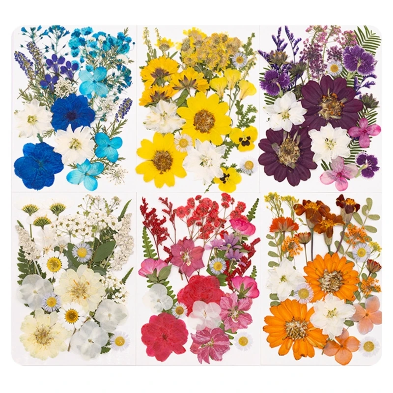 DIY Dried Flower Pack With Assorted Plant For Art Crafts Home Decoration Gifts 15UB
DIY Dried Flower Pack With Assorted Plant For Art Crafts Home Decoration Gifts 15UB