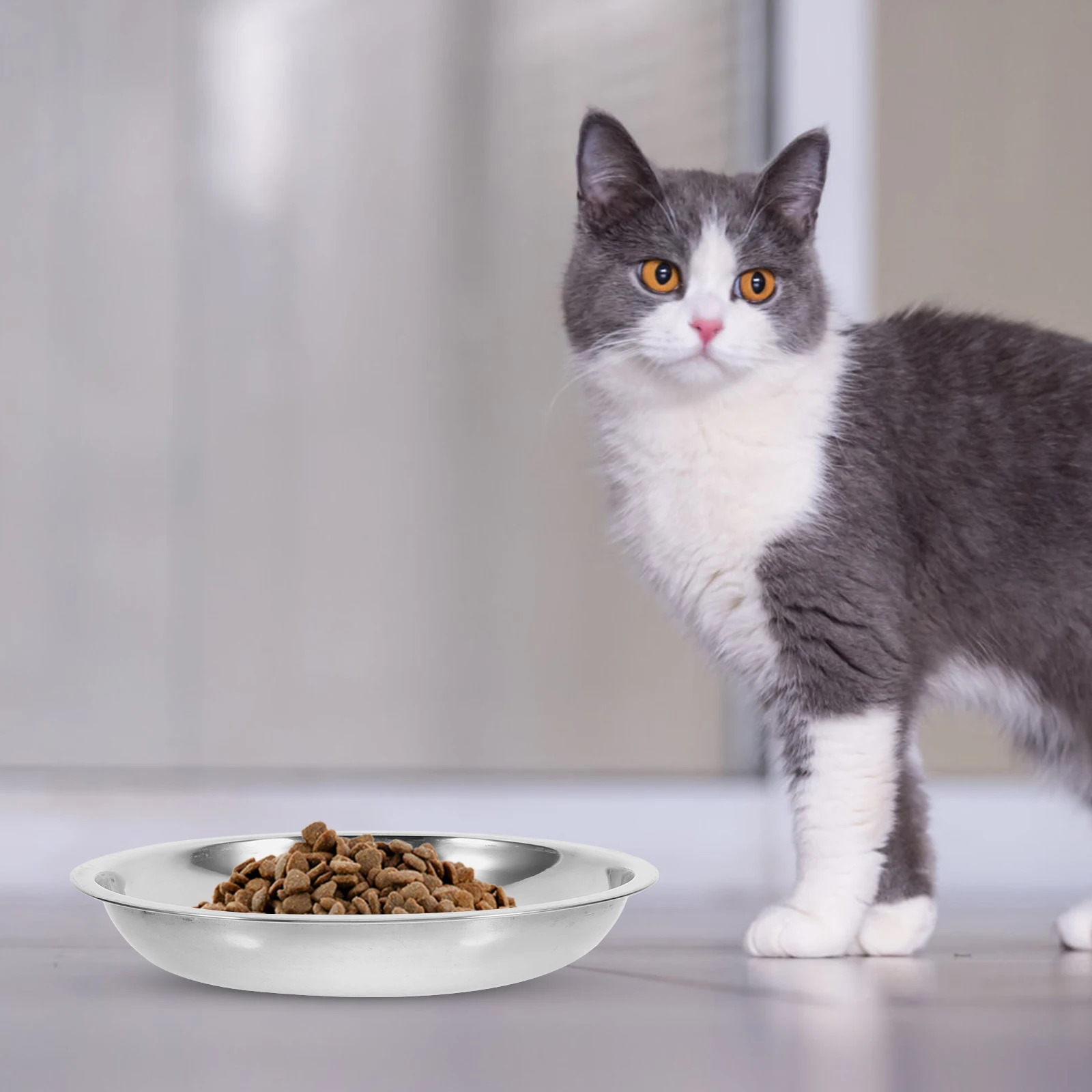 4pcs Stainless Steel Pet Bowl 201 Stainless Large Capacity Dog Food Cat Water Bowl Easy Smooth Surface Practical
4pcs Stainless Steel Pet Bowl 201 Stainless Large Capacity Dog Food Cat Water Bowl Easy Smooth Surface Practical