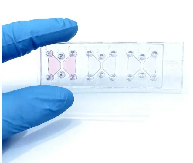 Cell chemotaxis Slide EO Sterilization one Plate with 18 Holes
Cell chemotaxis Slide EO Sterilization one Plate with 18 Holes