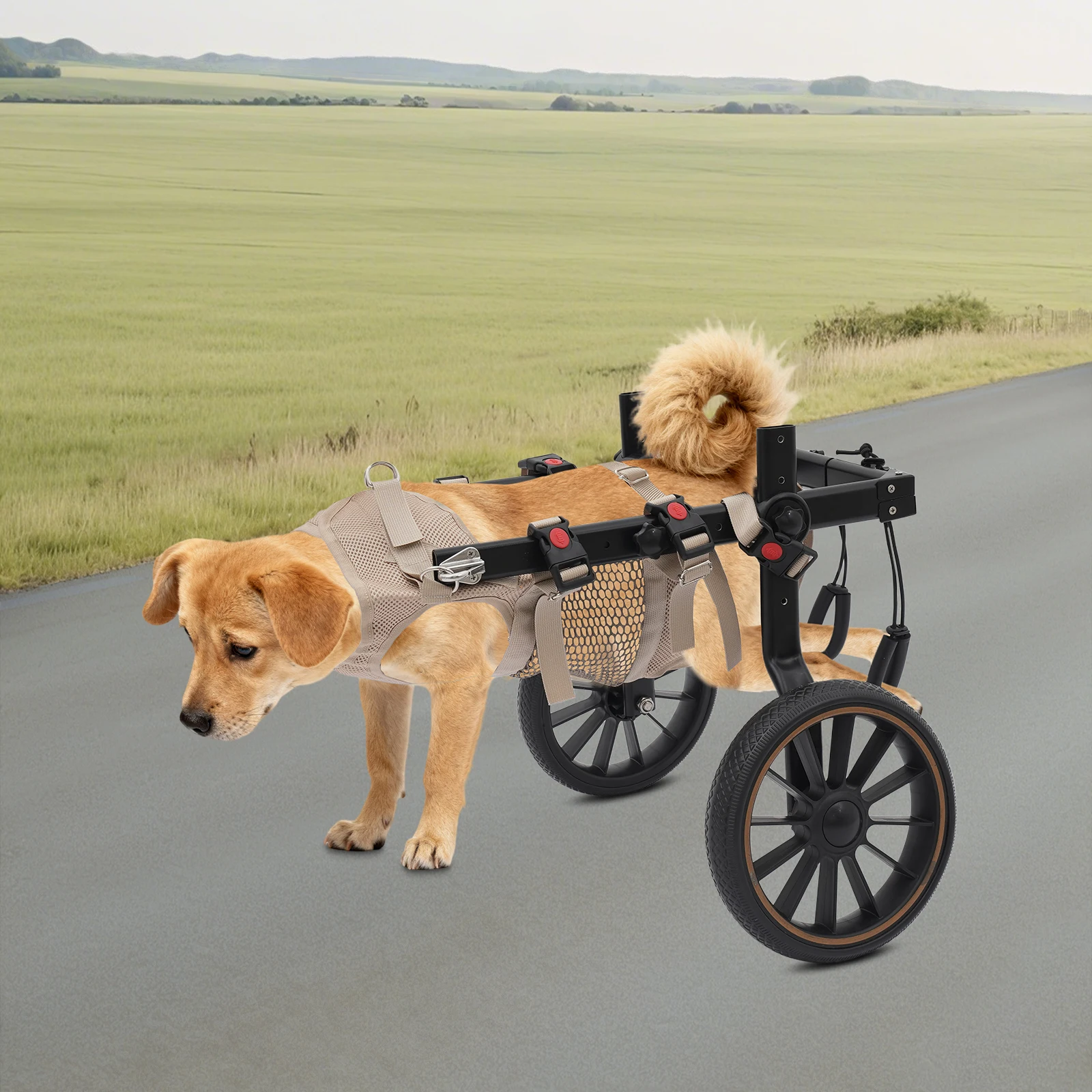 Pet Walking Aid Adjustable Dogs Wheelchairs 2-wheel Pet Rehabilitation Walking Aid Portable Walk Trolley Tools for Hind-Leg Support
Pet Walking Aid Adjustable Dogs Wheelchairs 2-wheel Pet Rehabilitation Walking Aid Portable Walk Trolley Tools for Hind-Leg Support