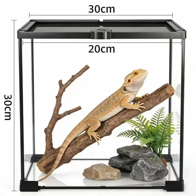 Large Glass Eco-Friendly Reptile Terrarium 4x2x2 120 Gallon Durable Modern Enclosure for Reptiles
Large Glass Eco-Friendly Reptile Terrarium 4x2x2 120 Gallon Durable Modern Enclosure for Reptiles