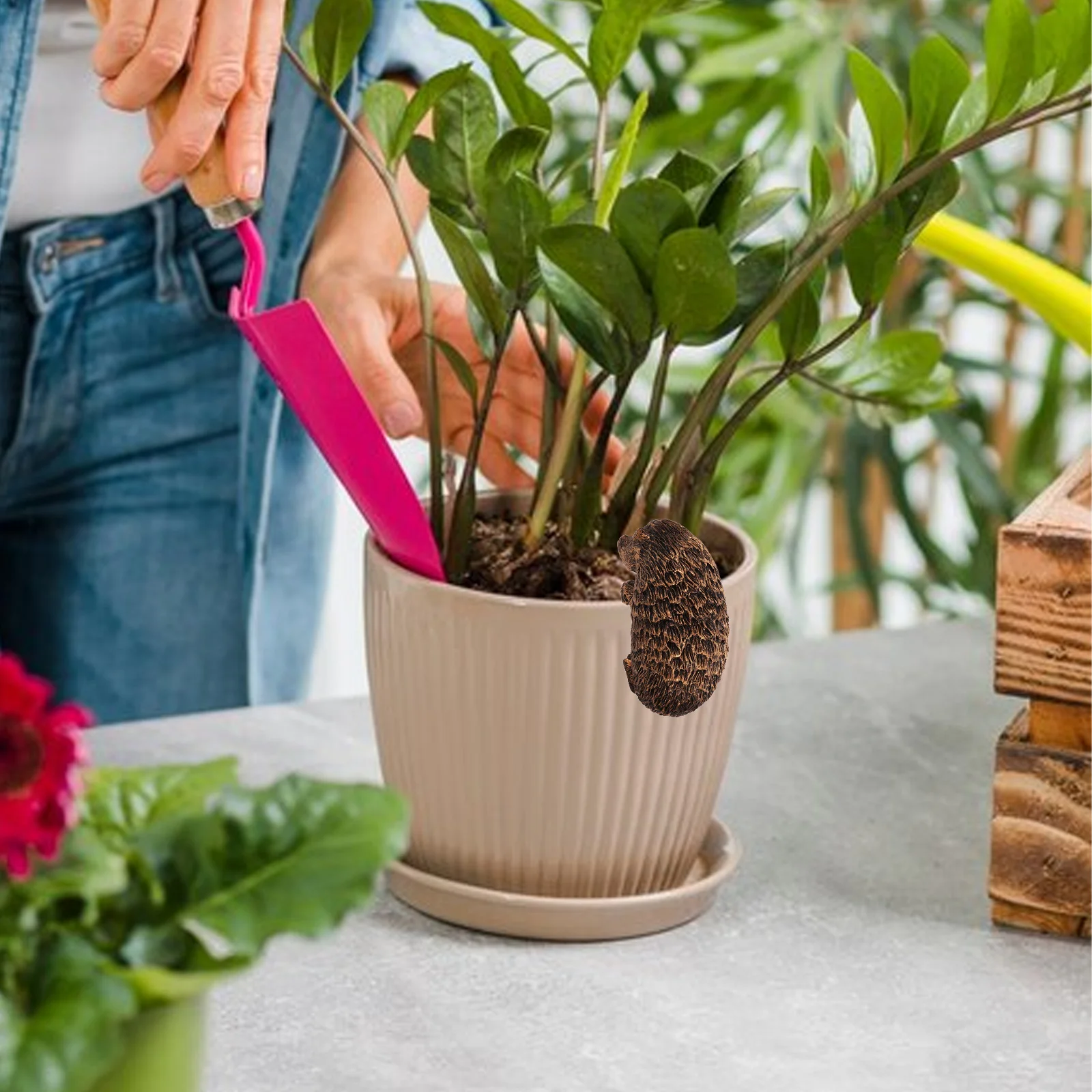 Hedgehog Planter Hanger Resin Material Non Fading Colors Realistic Shape Garden Animals Decor Statue Flower Pot Landscape
Hedgehog Planter Hanger Resin Material Non Fading Colors Realistic Shape Garden Animals Decor Statue Flower Pot Landscape