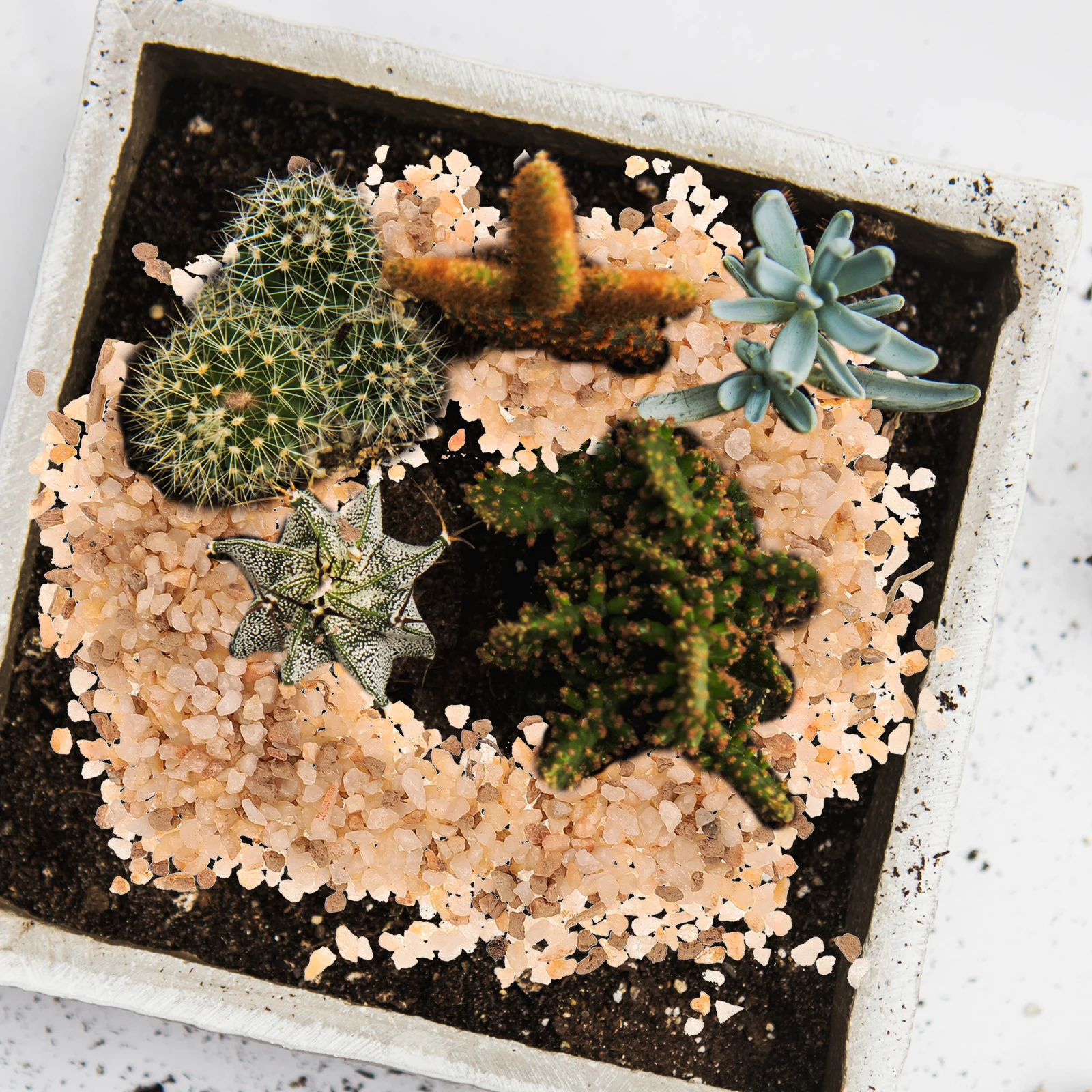 20pcs Crystal S Pebbles for Decorative Stones Small Rocks Mix Gravel Soil Cactus Bonsai Landscaping Sand
20pcs Crystal S Pebbles for Decorative Stones Small Rocks Mix Gravel Soil Cactus Bonsai Landscaping Sand