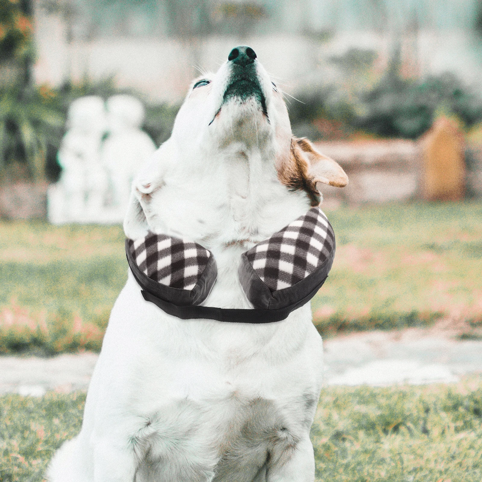 Pet Protection Neck Cover Post Cat Recovery Collar Donut Kitten Collars Cone for Surgery Soft Baby
Pet Protection Neck Cover Post Cat Recovery Collar Donut Kitten Collars Cone for Surgery Soft Baby