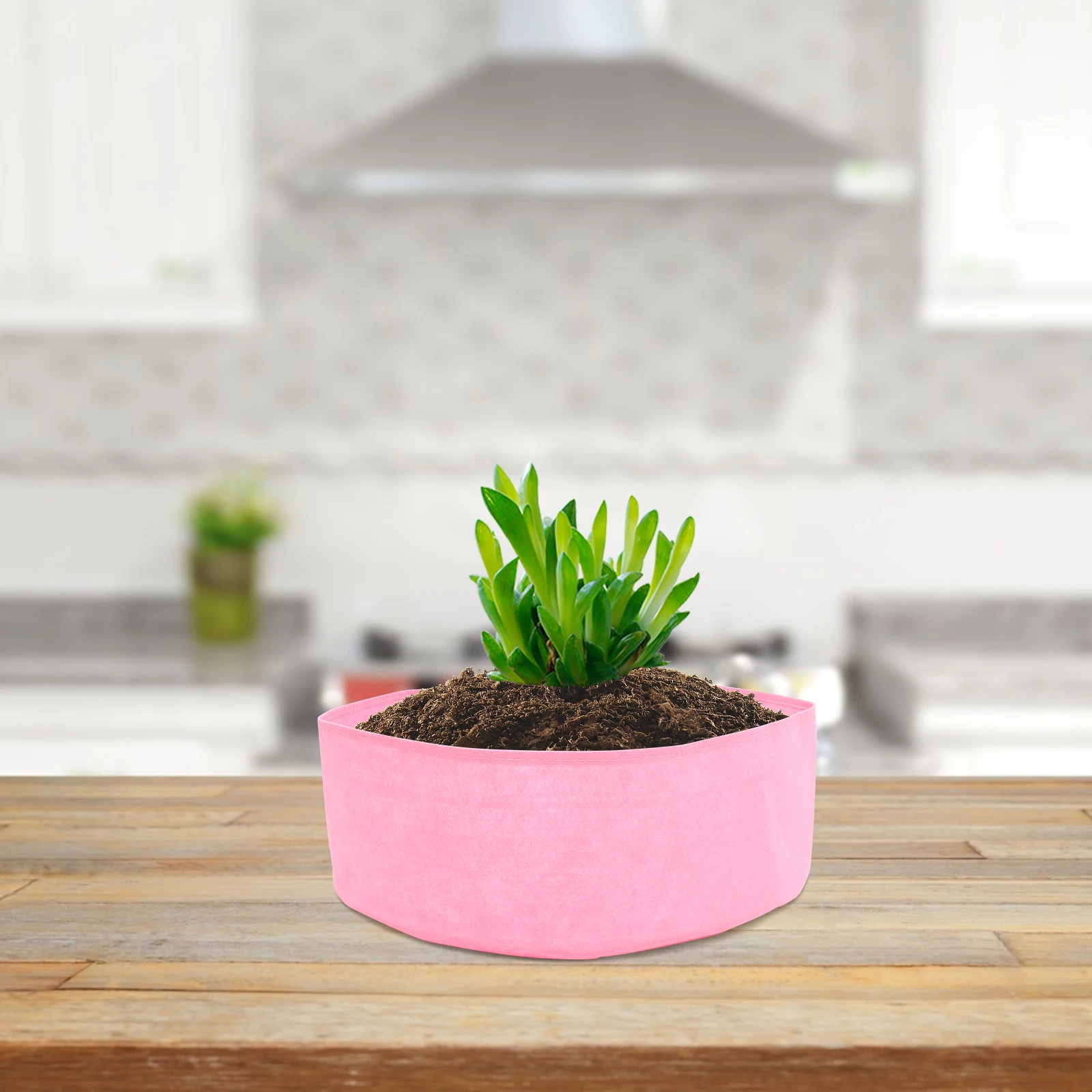 Vegetable Planting Bag Container Fabric Grow Pouch Durable Felt Planter For Flowers Vegetables Easy Portable
Vegetable Planting Bag Container Fabric Grow Pouch Durable Felt Planter For Flowers Vegetables Easy Portable