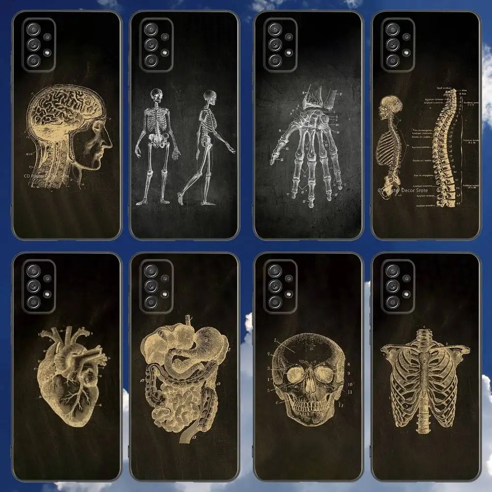 Anatomy Skeleton Phone Case For Samsung Galaxy A 91,80,73,72,71,53,52,51,22,5G Shockproof Soft Black Cover
Anatomy Skeleton Phone Case For Samsung Galaxy A 91,80,73,72,71,53,52,51,22,5G Shockproof Soft Black Cover
