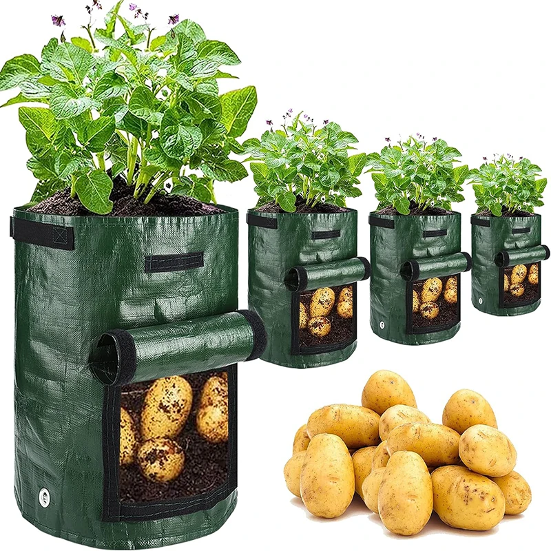 4 Pack 5,7,10 Gallons Potato Grow Bags with Handles Planter Pots for Onion, Fruits, Tomato, Carrot ,PE Potato Grow Bags
4 Pack 5,7,10 Gallons Potato Grow Bags with Handles Planter Pots for Onion, Fruits, Tomato, Carrot ,PE Potato Grow Bags
