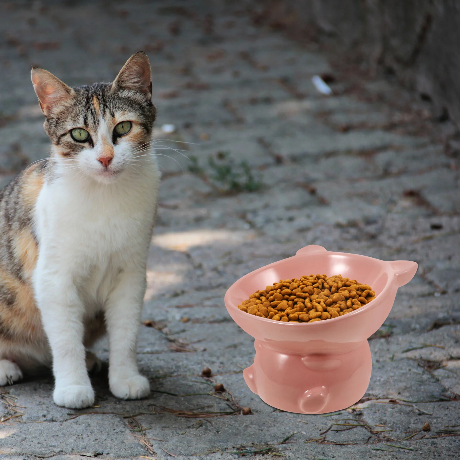Ceramic Cat Bowls Adorable Pig Design Non Slip Base Dishwasher Safe Indoor Cats Food Water Set Raised Cat Bowl
Ceramic Cat Bowls Adorable Pig Design Non Slip Base Dishwasher Safe Indoor Cats Food Water Set Raised Cat Bowl