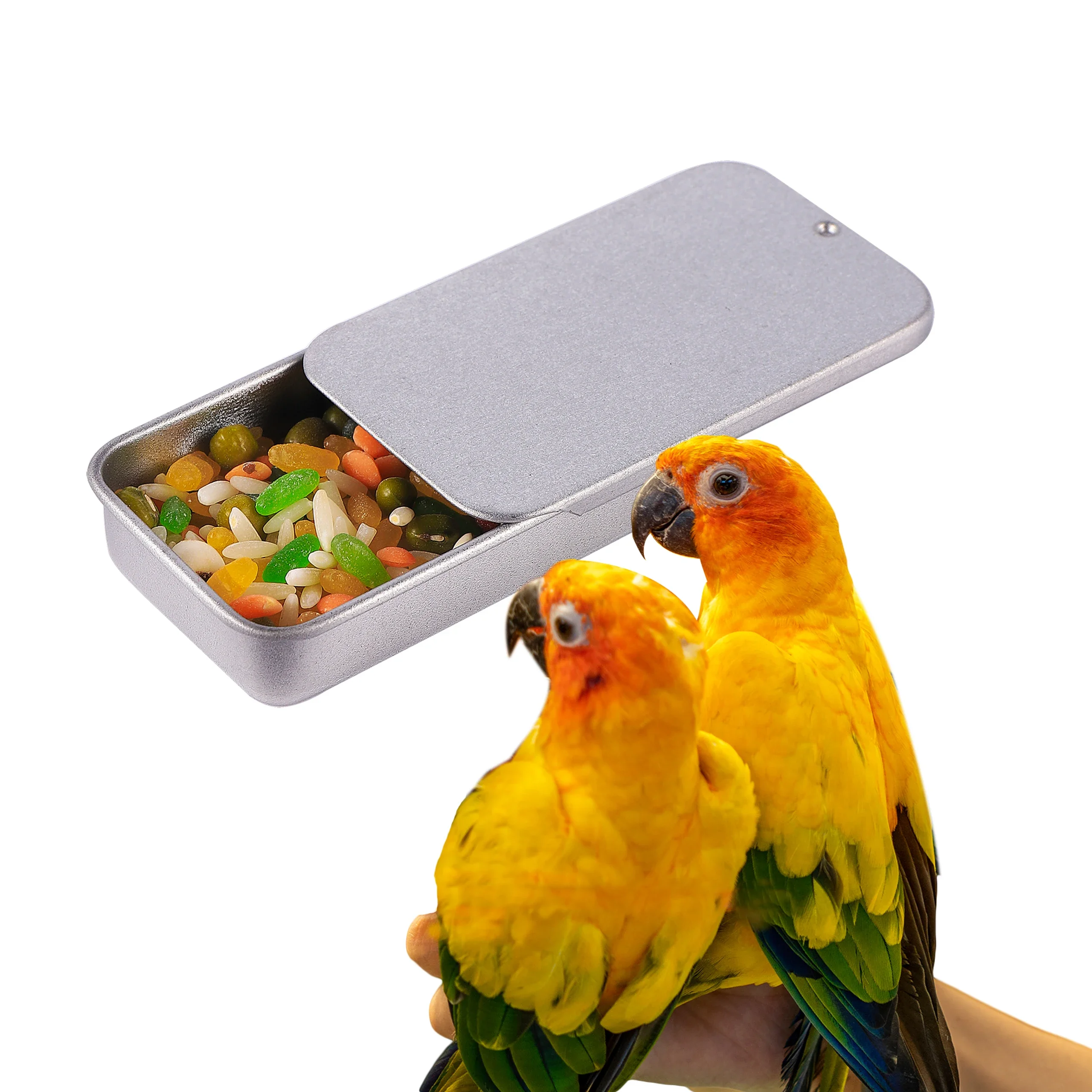 Mini Pet Bird Training Handheld Food Box Portable Outdoor Parrot Reward Feeding Box Easy To Store Bird Training Interactive Toys
Mini Pet Bird Training Handheld Food Box Portable Outdoor Parrot Reward Feeding Box Easy To Store Bird Training Interactive Toys