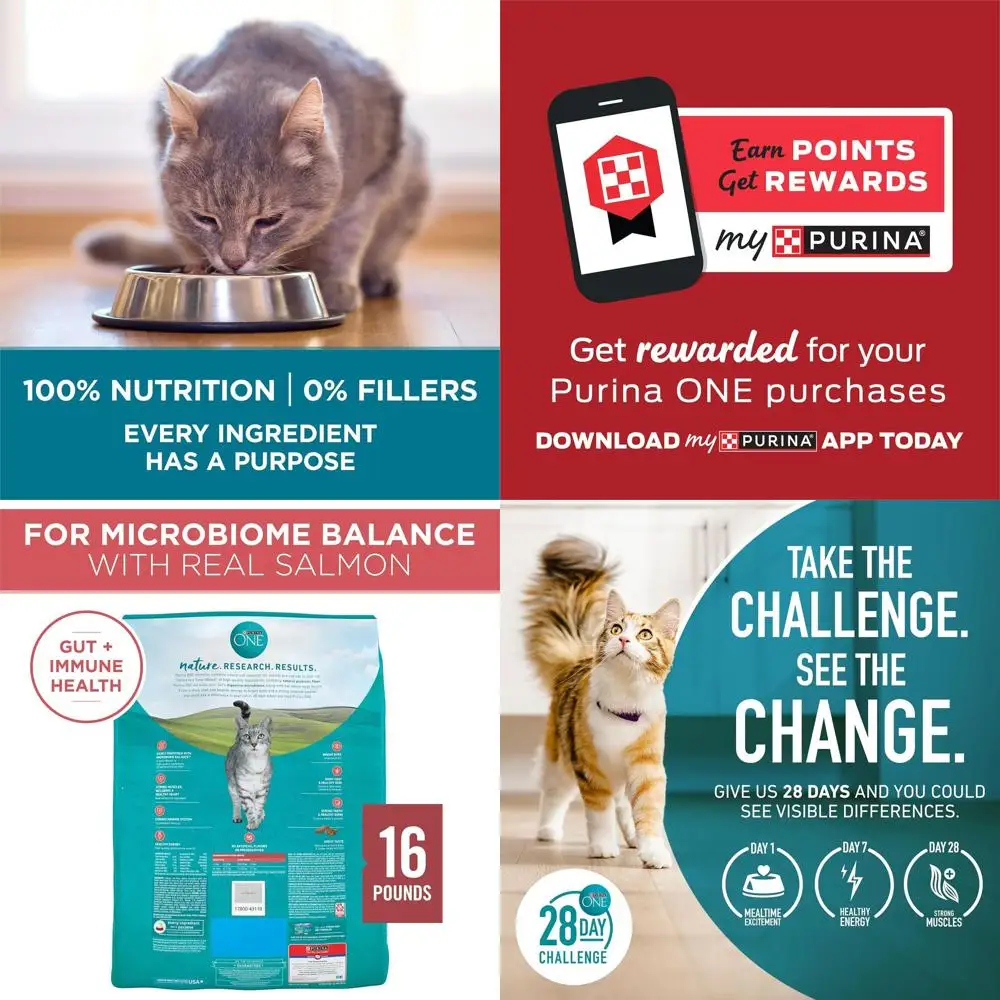 Premium Natural Dry Cat Food with Salmon Blend, 16 lbs
Premium Natural Dry Cat Food with Salmon Blend, 16 lbs