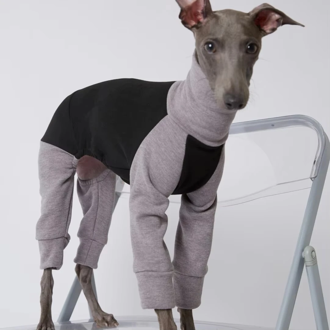 Thick Warm Fleece Sweatshirt for Mid Large Dogs in Winter Soft 4-legged Grey Coat for Greyhounds High-neck Jumpsuit for Whippet
Thick Warm Fleece Sweatshirt for Mid Large Dogs in Winter Soft 4-legged Grey Coat for Greyhounds High-neck Jumpsuit for Whippet
