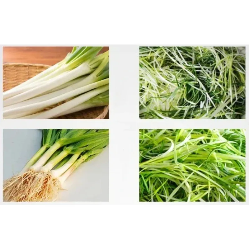 2026 sell Electric Scallion Shredder/Scallion Cutting Machine/Celery, Bamboo Shoot, Scallion Slicing Tool
2026 sell Electric Scallion Shredder/Scallion Cutting Machine/Celery, Bamboo Shoot, Scallion Slicing Tool