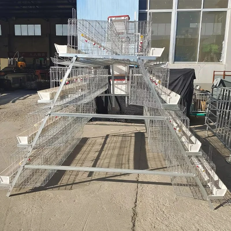 5-Door Poultry Chicken Cage 120 Chickens/SET Egg Laying Hens Layer Coop Automatic
5-Door Poultry Chicken Cage 120 Chickens/SET Egg Laying Hens Layer Coop Automatic