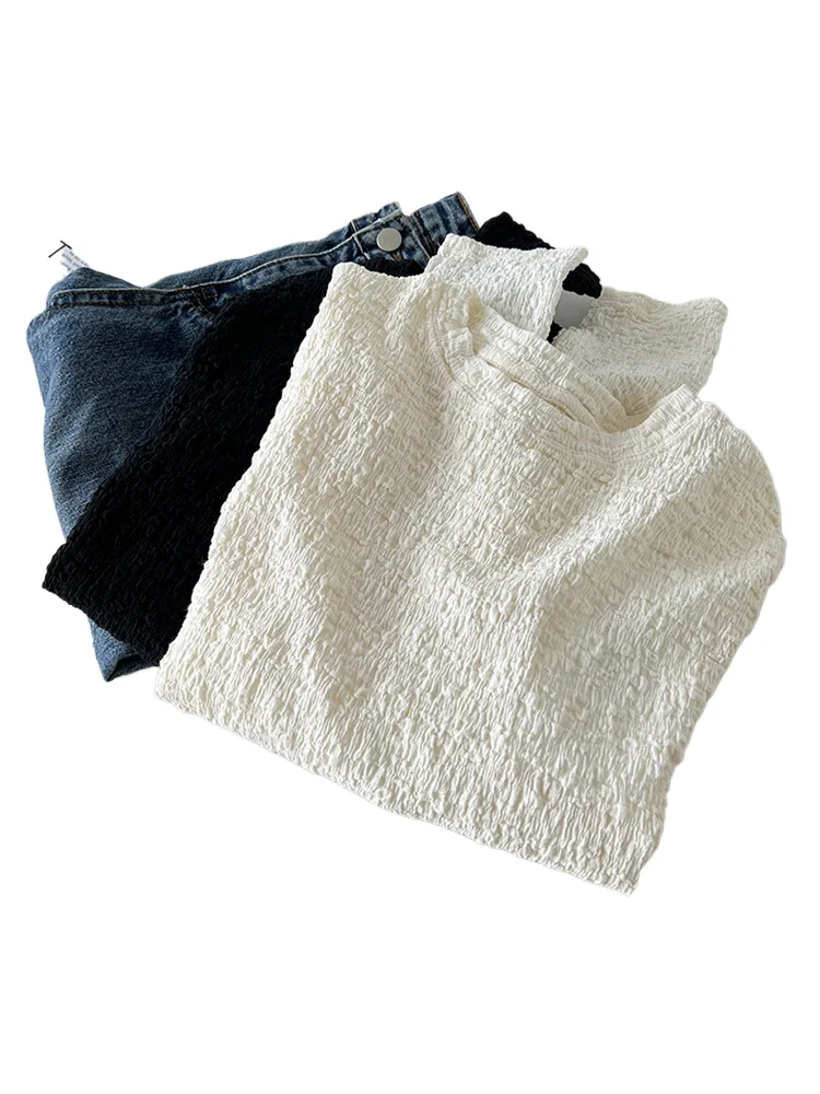 Elegant Pleated T-shirt Women's Spring Autumn Solid Versatile Slim Long Sleeved Top Korean Version Round Neck Basic Shirt
Elegant Pleated T-shirt Women's Spring Autumn Solid Versatile Slim Long Sleeved Top Korean Version Round Neck Basic Shirt