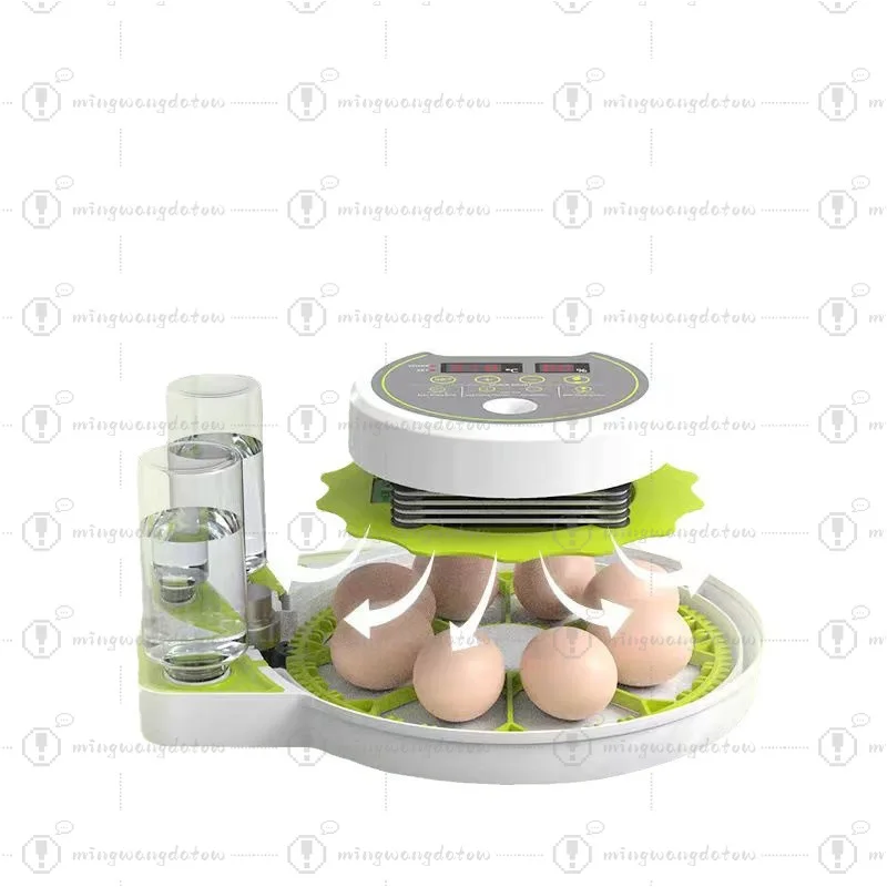 Small Household Intelligent Mini Egg Incubator for Chicken & Chicks
Small Household Intelligent Mini Egg Incubator for Chicken & Chicks