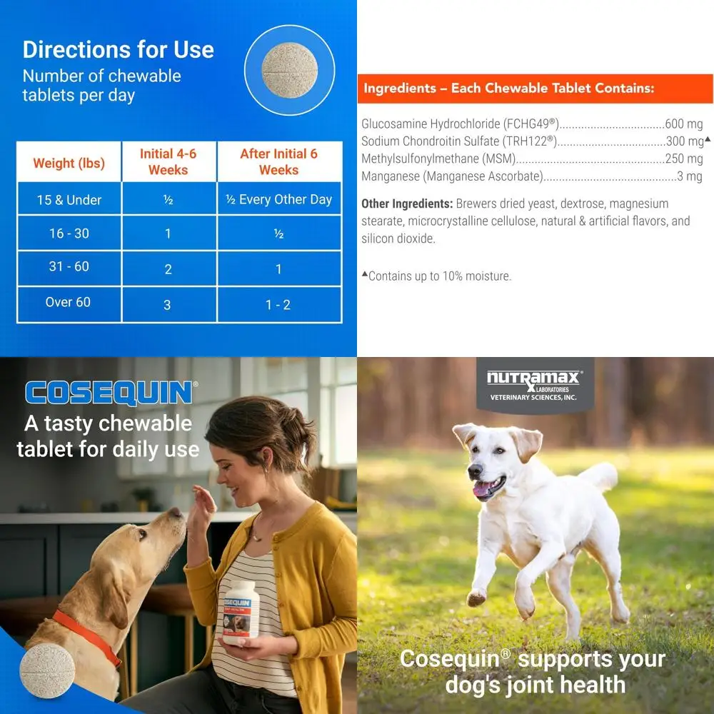 БАД для поддержки суставов у собак с глюкозамином, хондроитином и МСМ, 250 жевательных таблеток
БАД для поддержки суставов у собак с глюкозамином, хондроитином и МСМ, 250 жевательных таблеток