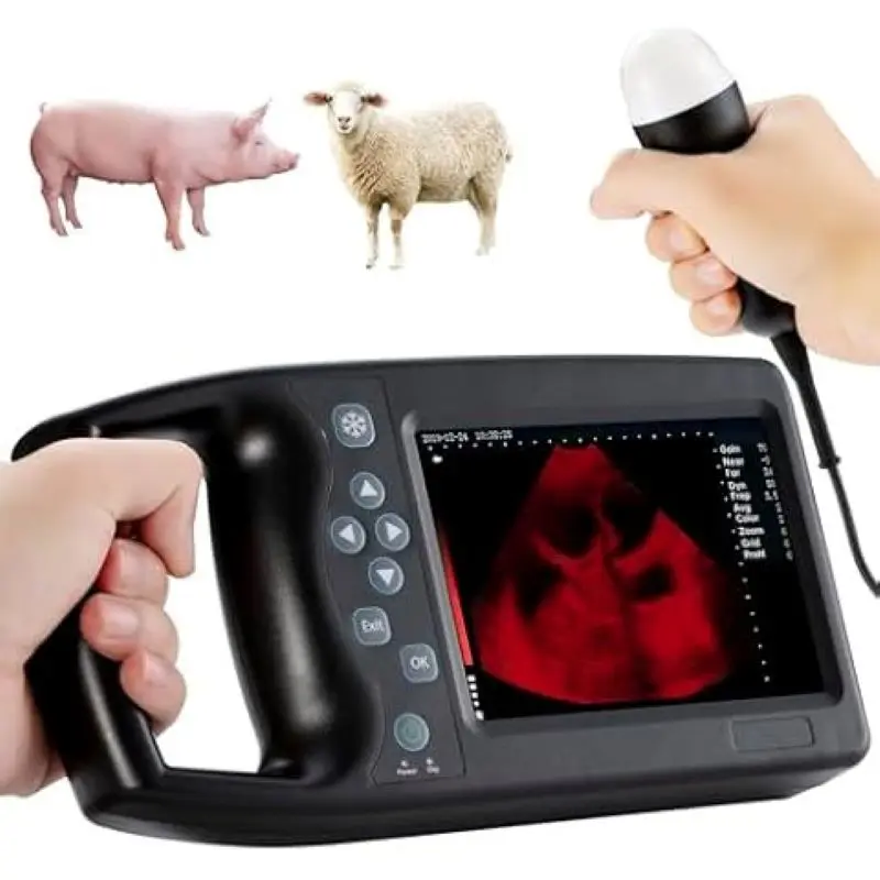 Animal Pet Portable 4D Veterinary Ultrasound Machine for Medical Diagnostic Imaging Centers for Abdominal Diagnosis
Animal Pet Portable 4D Veterinary Ultrasound Machine for Medical Diagnostic Imaging Centers for Abdominal Diagnosis
