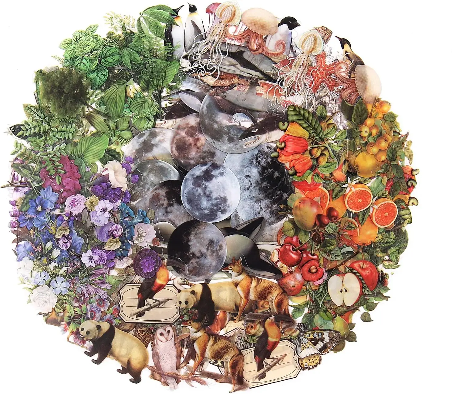 240 Pcs Nature Themed Pre-Cut Stickers, Vintage Flora & Fauna Decals for Scrapbooking, Journaling, and Crafts
240 Pcs Nature Themed Pre-Cut Stickers, Vintage Flora & Fauna Decals for Scrapbooking, Journaling, and Crafts