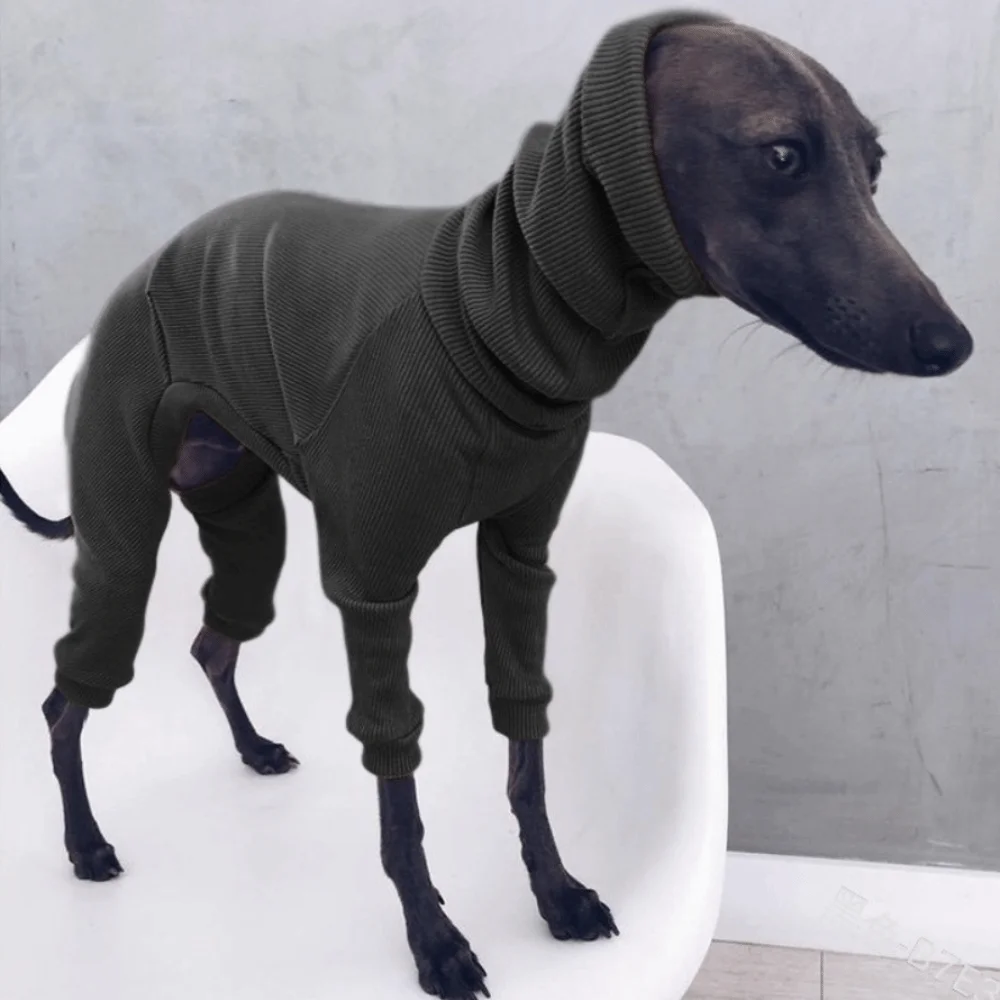 Fashion Warm Dog Jumpsuit Soft Cold-Proof Dog Four Legged Clothes Comfortable Elastic Pet Turtleneck Clothes Outdoor
Fashion Warm Dog Jumpsuit Soft Cold-Proof Dog Four Legged Clothes Comfortable Elastic Pet Turtleneck Clothes Outdoor