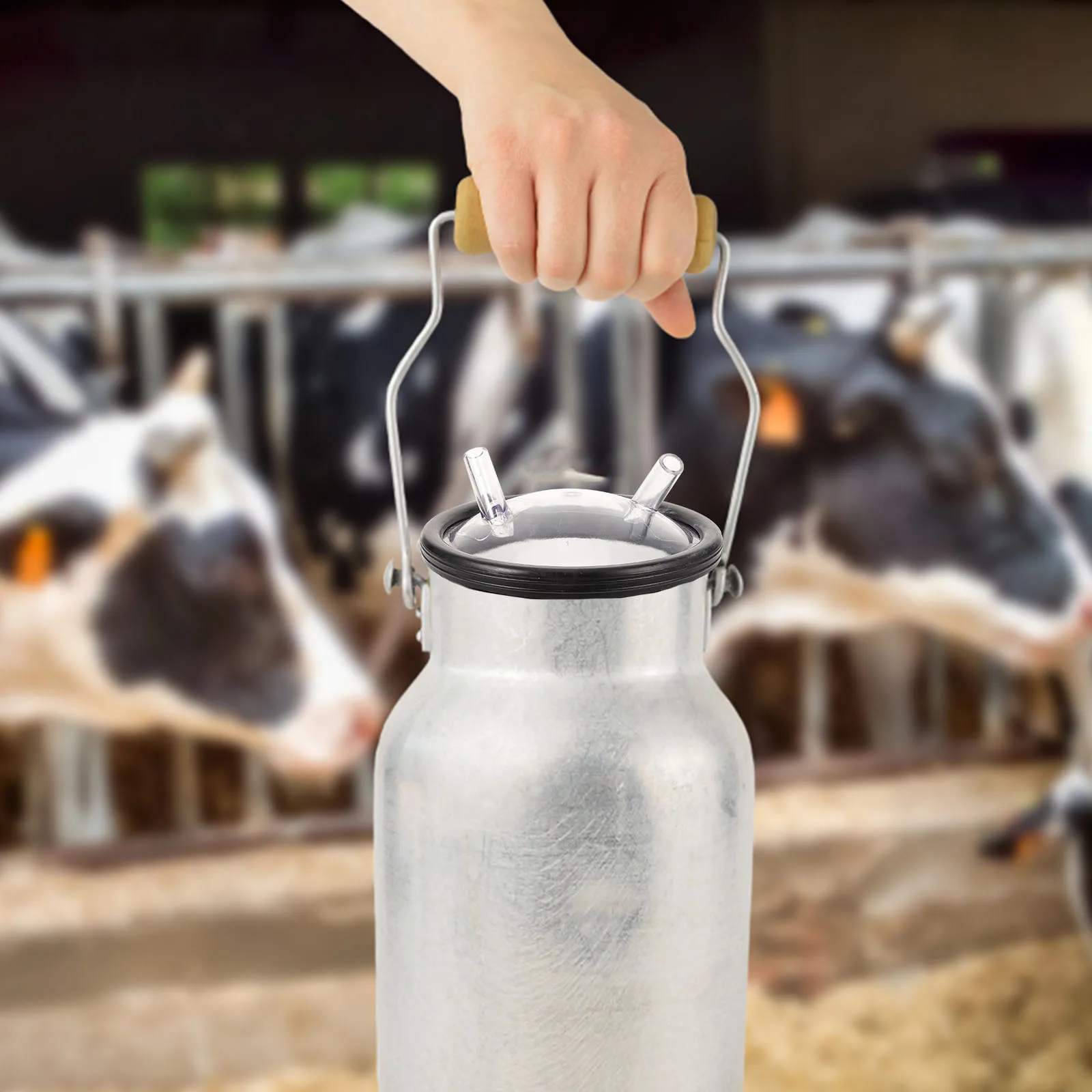 Milking Bucket Transparent Cover Clear Replacement Lid Pail Machine Bottle Major Plastic
Milking Bucket Transparent Cover Clear Replacement Lid Pail Machine Bottle Major Plastic