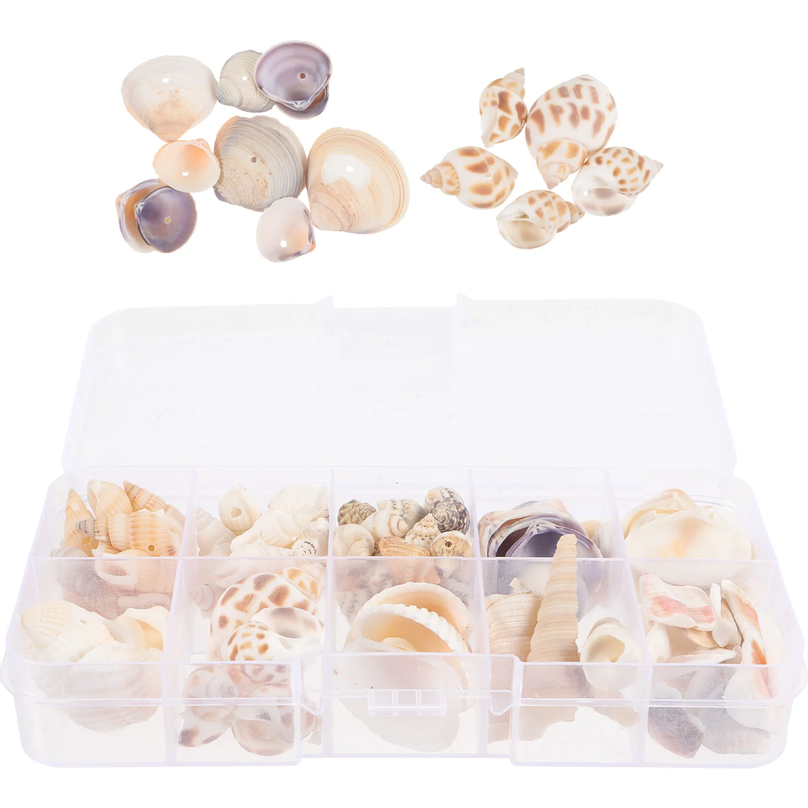 Colorful Shell Jewelry Accessories Small Craft Shells Conch for Fish Tank Decorative Seashells DIY Decoration Natural Decor
Colorful Shell Jewelry Accessories Small Craft Shells Conch for Fish Tank Decorative Seashells DIY Decoration Natural Decor