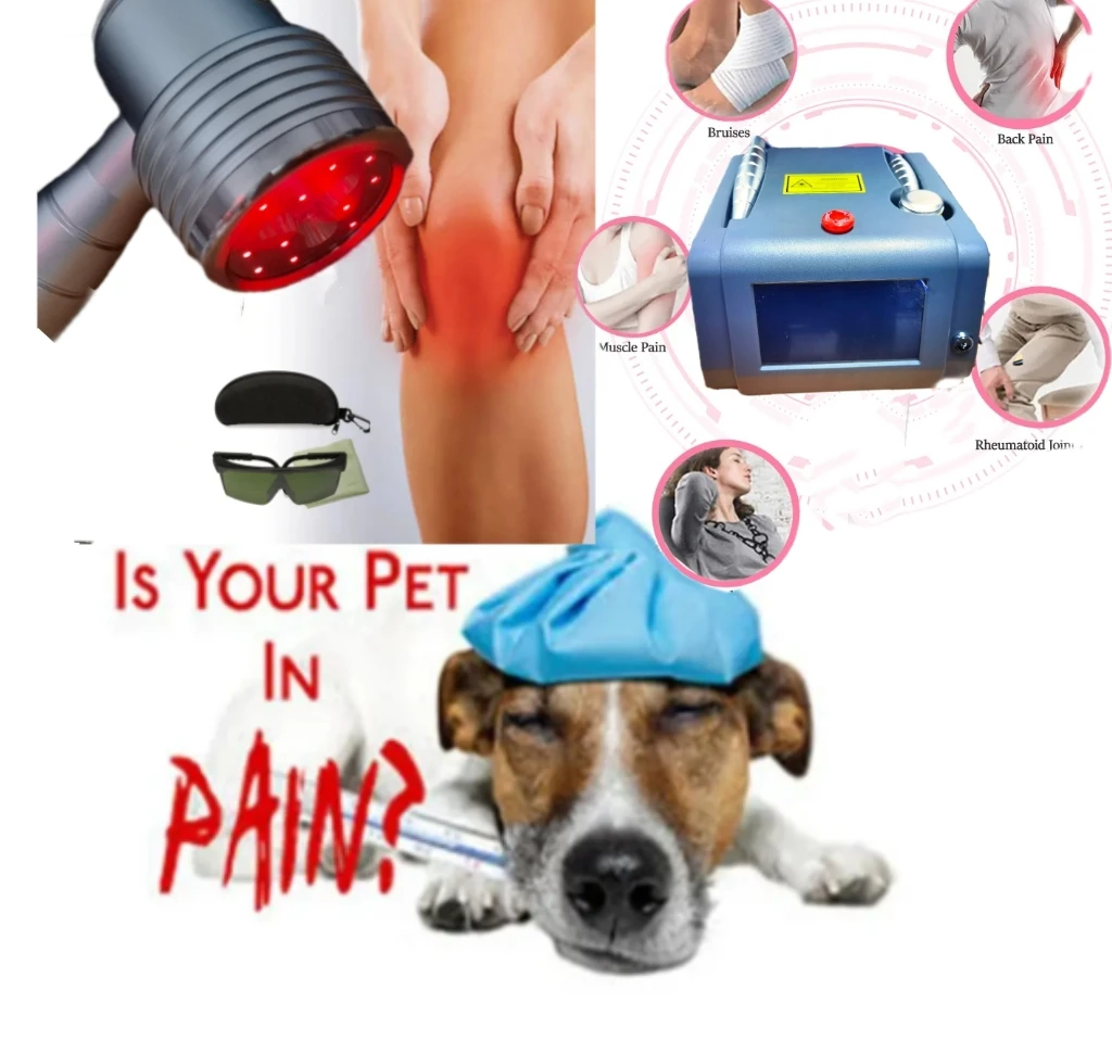 Low Level Portable Cold Laser Therapy Device For Infrared Pain Treatment 808nm 650nm lllt Physiotherapy
Low Level Portable Cold Laser Therapy Device For Infrared Pain Treatment 808nm 650nm lllt Physiotherapy