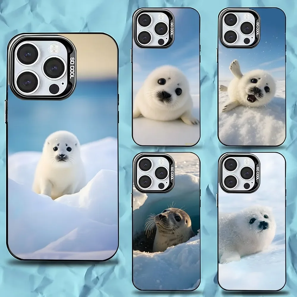 Seal Animal Cute Phone Case For iPhone 16,15,14,13,12,11,Pro,Max,Plus,Mini,XS,SE Anti Fall Black Matte Hard Bumper
Seal Animal Cute Phone Case For iPhone 16,15,14,13,12,11,Pro,Max,Plus,Mini,XS,SE Anti Fall Black Matte Hard Bumper