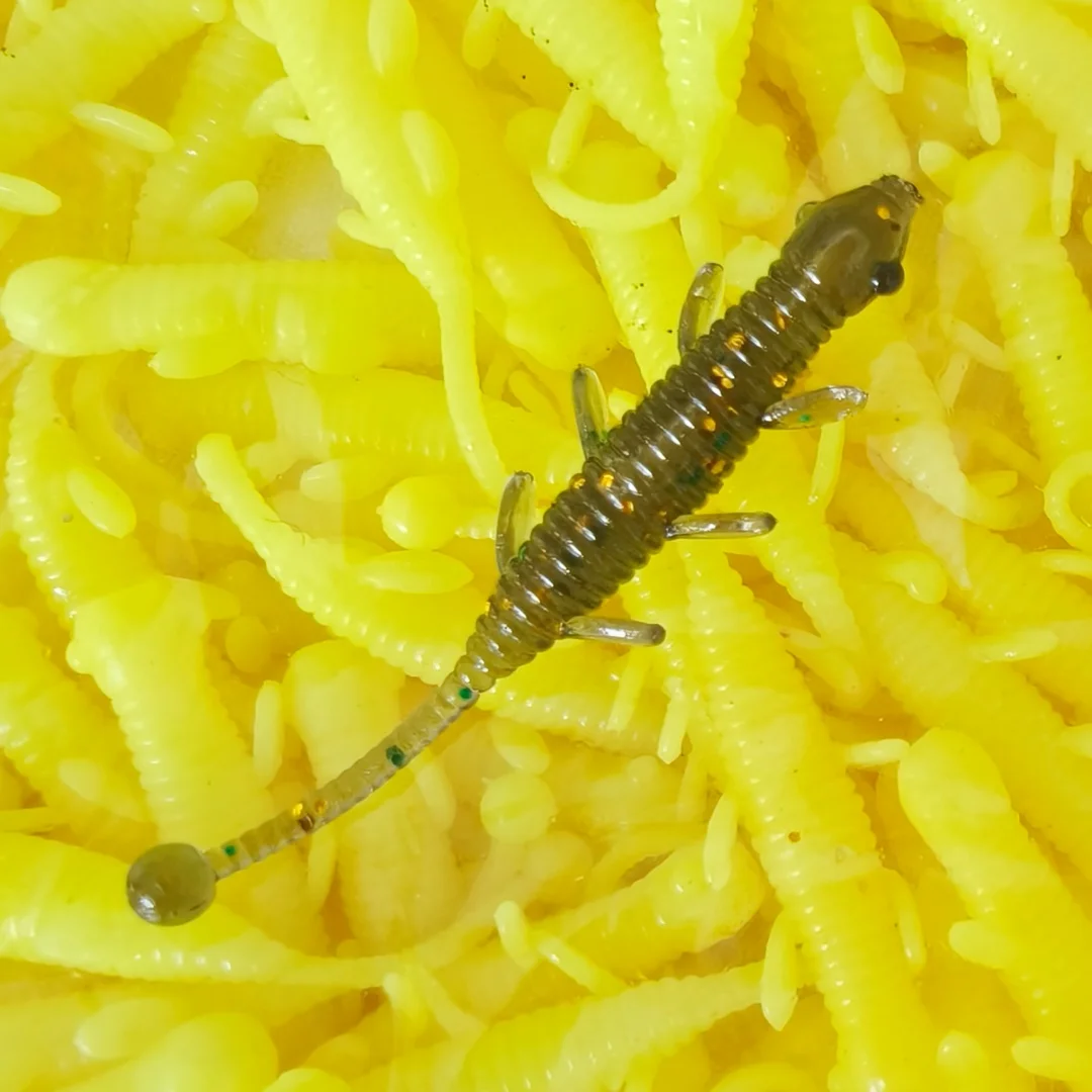 Набор рыболовных приманок Swolfy, 300 шт., НОВЫЕ мягкие приманки из TPE, мини-черви, 0,25 г/40 мм, искусственные приманки для ловли окуня и морского окуня (AJING Rockfish)
Набор рыболовных приманок Swolfy, 300 шт., НОВЫЕ мягкие приманки из TPE, мини-черви, 0,25 г/40 мм, искусственные приманки для ловли окуня и морского окуня (AJING Rockfish)