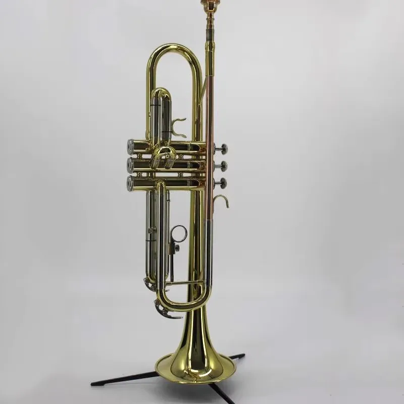 Trumpet Instrument for Students, Beginners, Playing Grade, Children, Adult, Church, Students
Trumpet Instrument for Students, Beginners, Playing Grade, Children, Adult, Church, Students