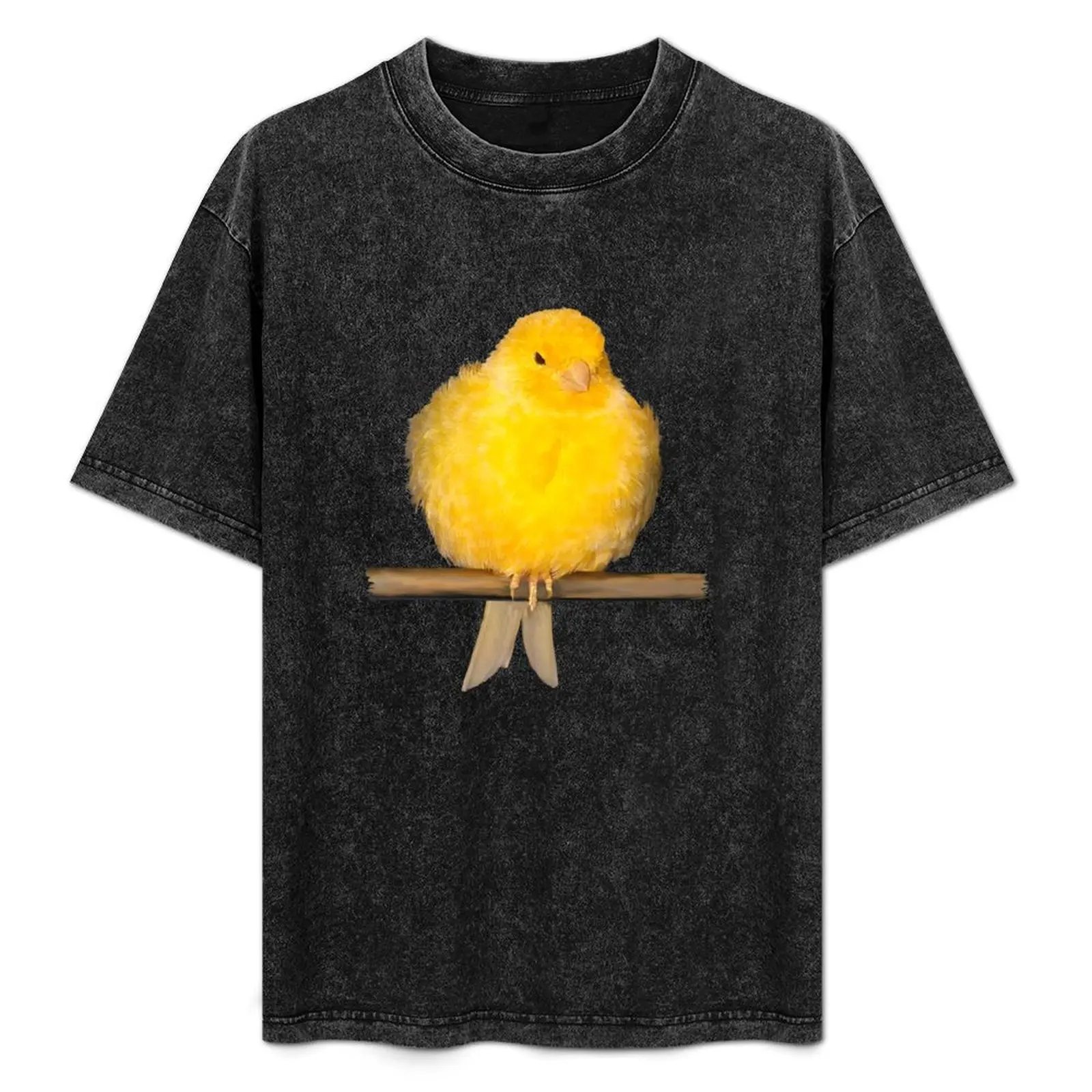 cute canary with yellow feathers T-Shirt Soft Basic Cotton Short Sleeve Tee
cute canary with yellow feathers T-Shirt Soft Basic Cotton Short Sleeve Tee