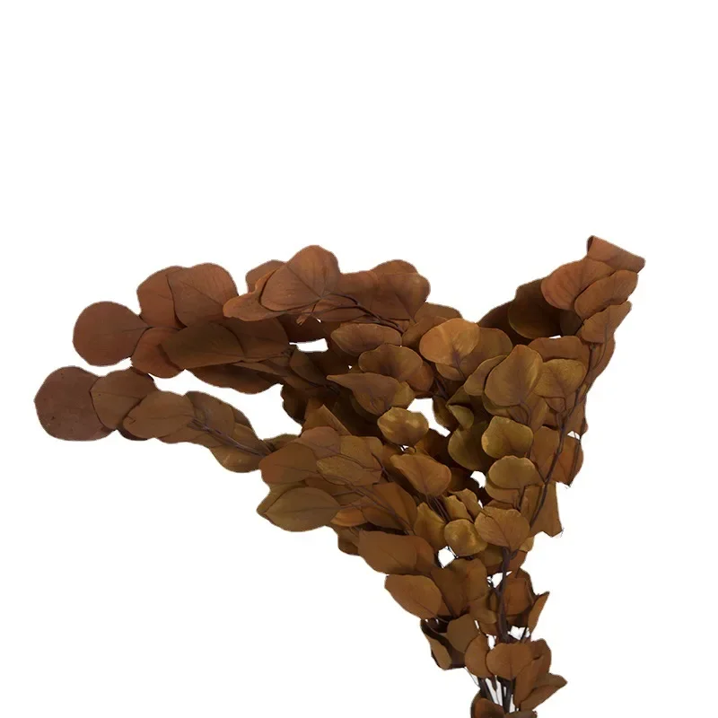 Window soft decoration with colored dried flowers decorative decoration table flower designer
Window soft decoration with colored dried flowers decorative decoration table flower designer