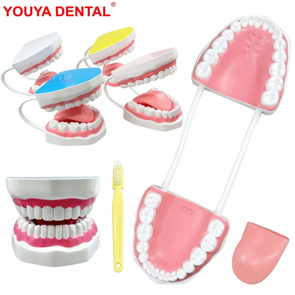 Супербольшая зубная модель с языком и зубной щеткой, красочная модель для изучения чистки зубов, модель с большим ртом для обучения и демонстрации
Супербольшая зубная модель с языком и зубной щеткой, красочная модель для изучения чистки зубов, модель с большим ртом для обучения и демонстрации