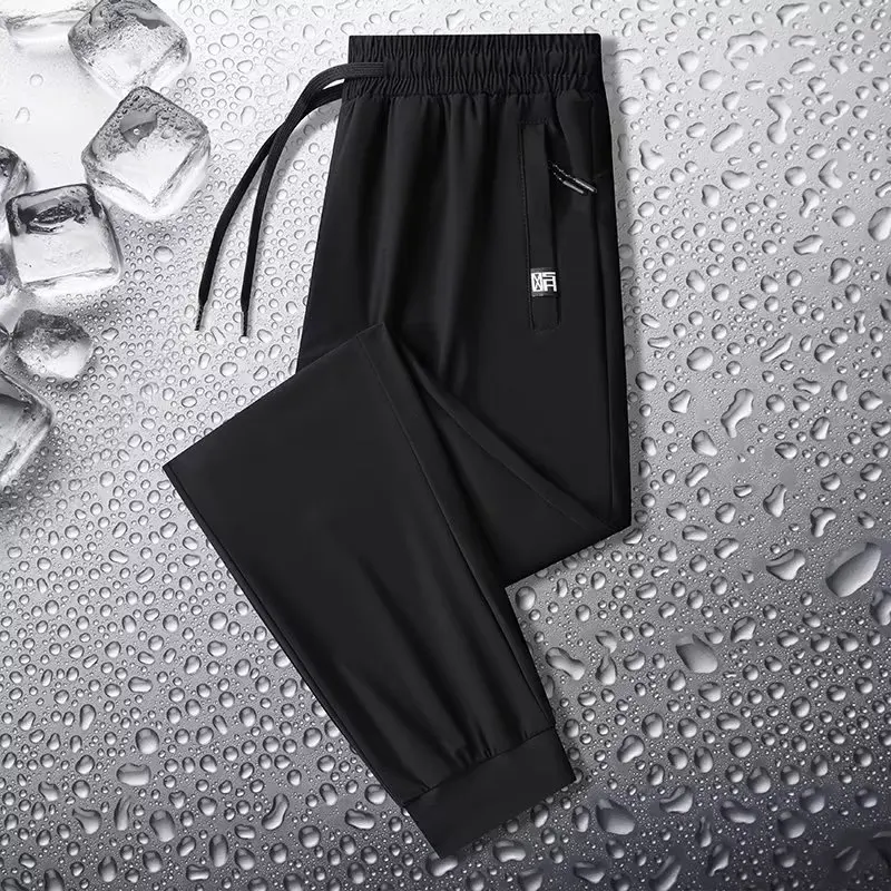 Summer Ice Silk Pants Women's Thin Sporty Loose Elastic Large Size Casual Long Trousers High Waist Straight Leg Commute Style
Summer Ice Silk Pants Women's Thin Sporty Loose Elastic Large Size Casual Long Trousers High Waist Straight Leg Commute Style