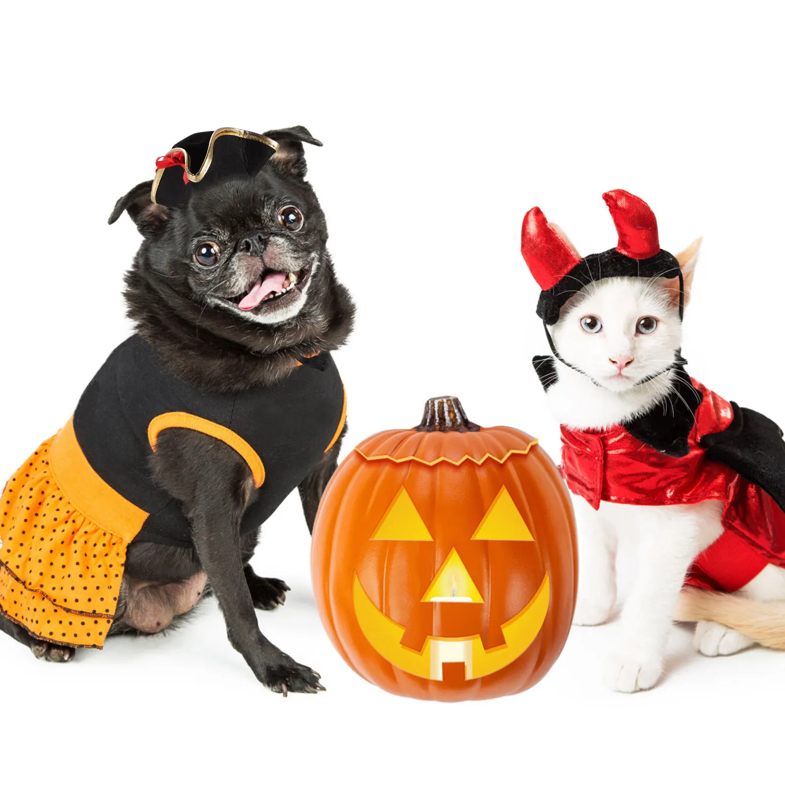 Pirate Style Pet Hat Lightweight Durable Dog Cat Accessory Perfect for Photo Shoots Festivals Halloween pirate headgear dog coat
Pirate Style Pet Hat Lightweight Durable Dog Cat Accessory Perfect for Photo Shoots Festivals Halloween pirate headgear dog coat